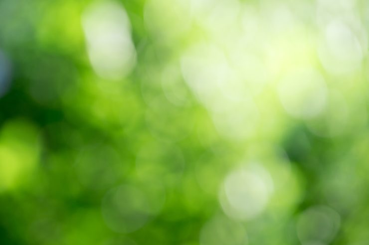 兵庫型奨学金返済支援制度